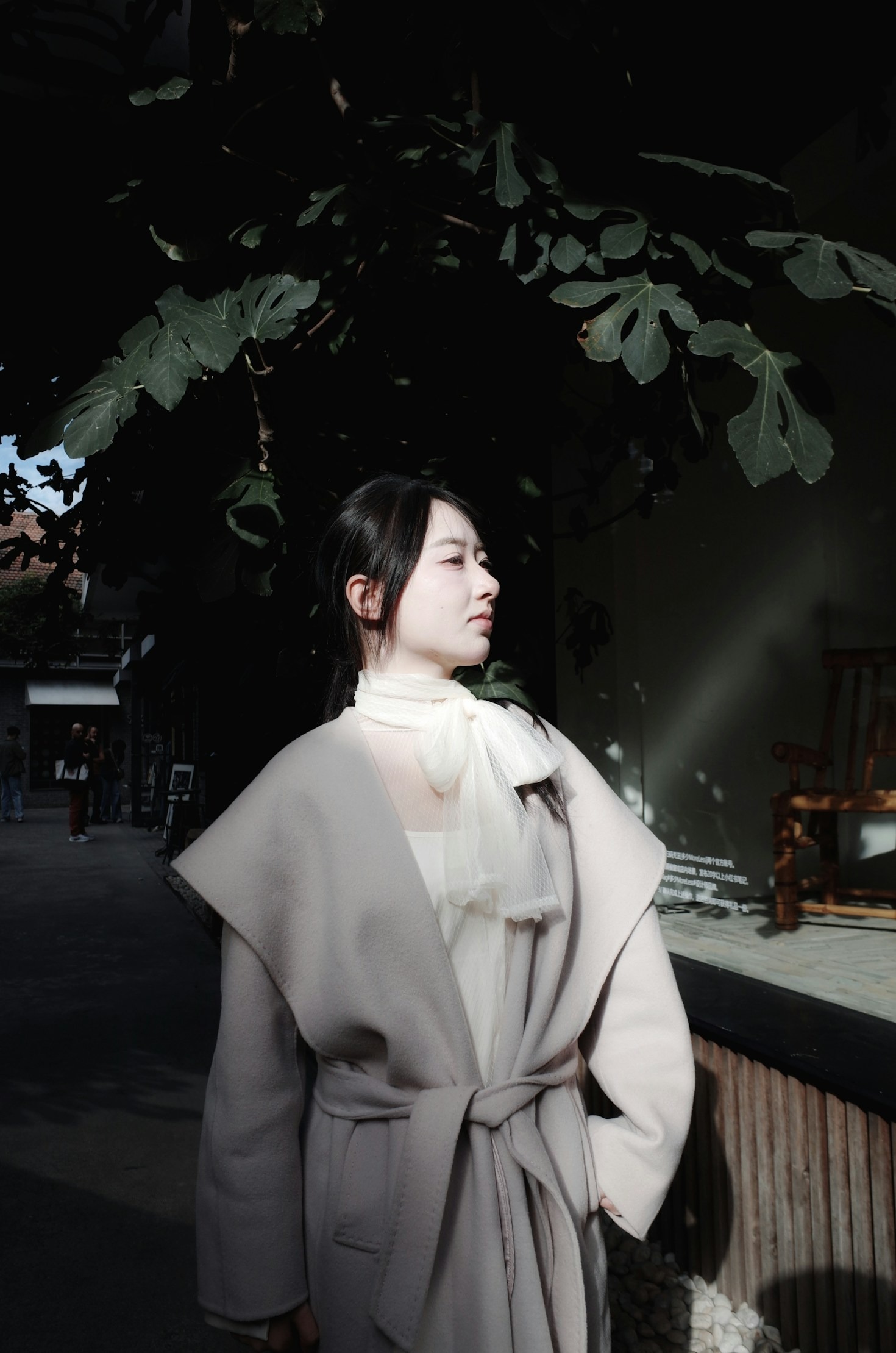 A jornada profissional de Luiz Fernando